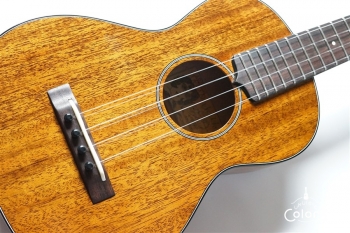 AM-T・KIYOSAKU #859