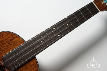 AM-T・KIYOSAKU #859