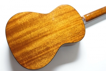 AM-T・KIYOSAKU #859