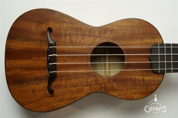 ukulele concert 14f std. – Cuban Mahogany TOP/Spalted Maple SIDE & BACK