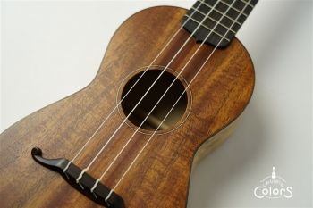 ukulele concert 14f std. – Cuban Mahogany TOP/Spalted Maple SIDE & BACK