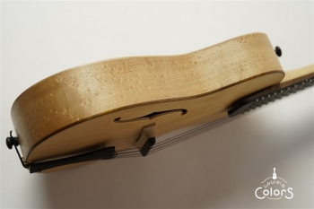 ukulele concert archtop – Spruce TOP/Birdseye Maple SIDE & BACK