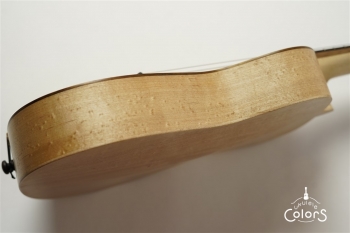 ukulele concert archtop – Spruce TOP/Birdseye Maple SIDE & BACK