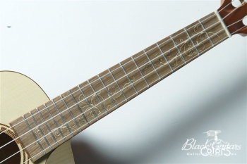 Queen Concert w / EQ