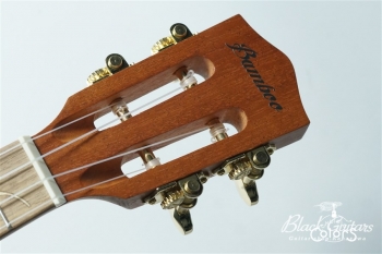 Queen Concert w / EQ