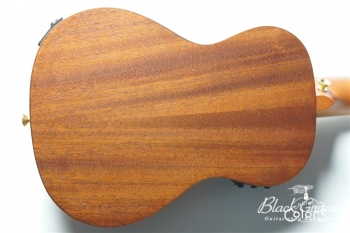 Queen Concert w / EQ