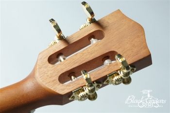 Queen Concert w / EQ