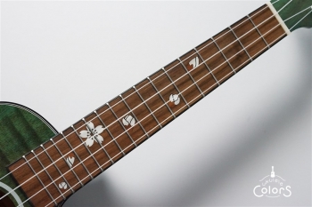 Tiger Okume Concert Ukulele w/EQ