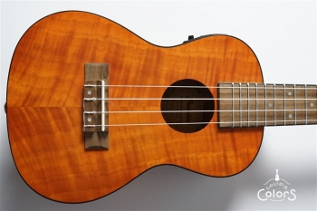 Exotic Mahogany Concert Ukulele w/EQ