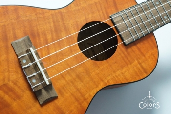 Exotic Mahogany Concert Ukulele w/EQ