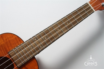 Exotic Mahogany Concert Ukulele w/EQ
