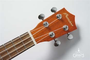 Exotic Mahogany Concert Ukulele w/EQ