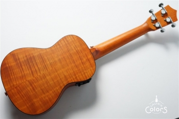 Exotic Mahogany Concert Ukulele w/EQ