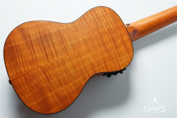 Exotic Mahogany Concert Ukulele w/EQ