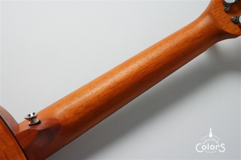 Exotic Mahogany Concert Ukulele w/EQ