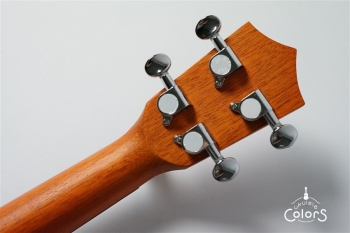 Exotic Mahogany Concert Ukulele w/EQ