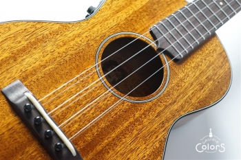 AM-T-E・KIYOSAKU #882