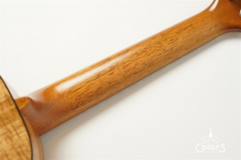 Pebble-T Standard #22 - Hawaiian Koa 3A