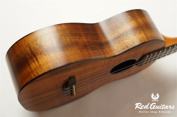Pebble-T Standard #23 - Hawaiian Koa 3A