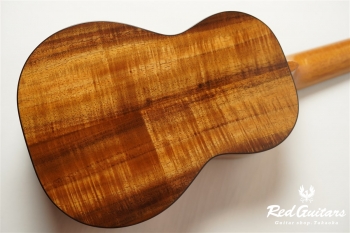 Pebble-T Standard #23 - Hawaiian Koa 3A