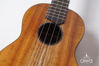 Pebble-T Standard #24 - Hawaian Koa 3A