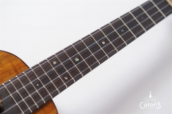 Pebble-T Standard #24 - Hawaian Koa 3A