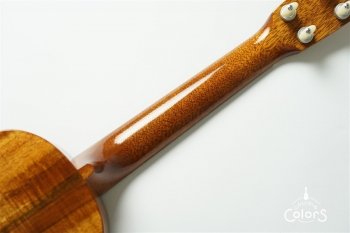 UKULELEGYPSY KIYOSAKU ECO-C