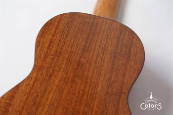 Pebble-T Standard #25 - Hawaian Koa 3A