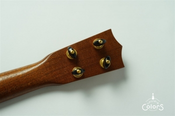 T-G/V -Tenor- Gold