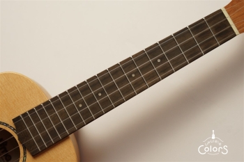 UK-06SC