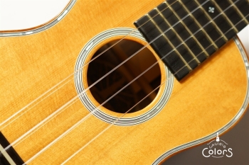 Pebble-C Custom #10 Used