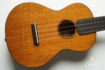 UC-1 w/Enfini Custom Works Pickup