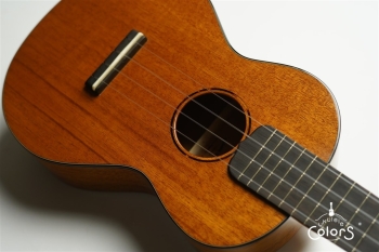 UC-1 w/Enfini Custom Works Pickup