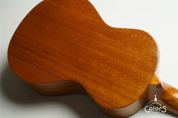 UC-1 w/Enfini Custom Works Pickup