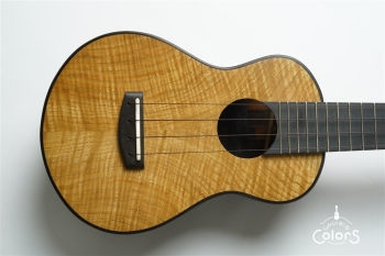 音の器 - vessel of the sound -