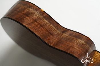 「照り葉」Teriha Concert - Red Cedar / Curly Walnut