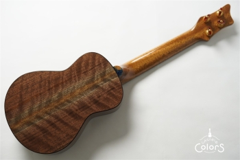 「照り葉」Teriha Concert - Red Cedar / Curly Walnut