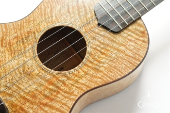 ukulele tenor 14f std. w Curly Hawaiian Mango Top / Birds Eye Maple Side & Back