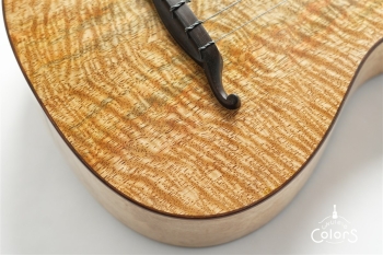 ukulele tenor 14f std. w Curly Hawaiian Mango Top / Birds Eye Maple Side & Back