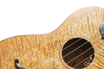 ukulele tenor 14f std. w Curly Hawaiian Mango Top / Birds Eye Maple Side & Back