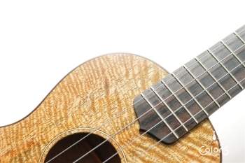 ukulele tenor 14f std. w Curly Hawaiian Mango Top / Birds Eye Maple Side & Back