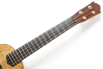 ukulele tenor 14f std. w Curly Hawaiian Mango Top / Birds Eye Maple Side & Back