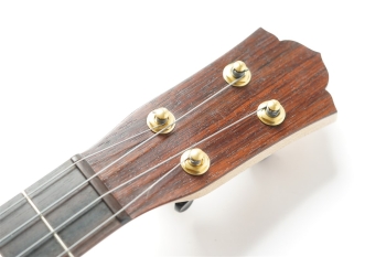 ukulele tenor 14f std. w Curly Hawaiian Mango Top / Birds Eye Maple Side & Back