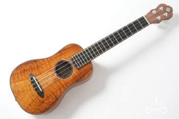 CON-SP-B.B / Concert