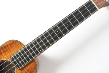 CON-SP-B.B / Concert