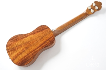 CON-SP-B.B / Concert