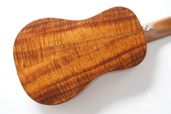 CON-SP-B.B / Concert