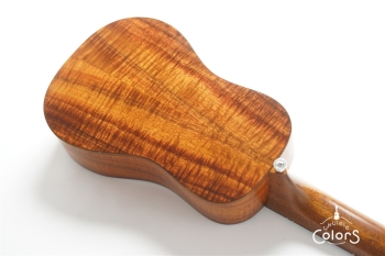 CON-SP-B.B / Concert