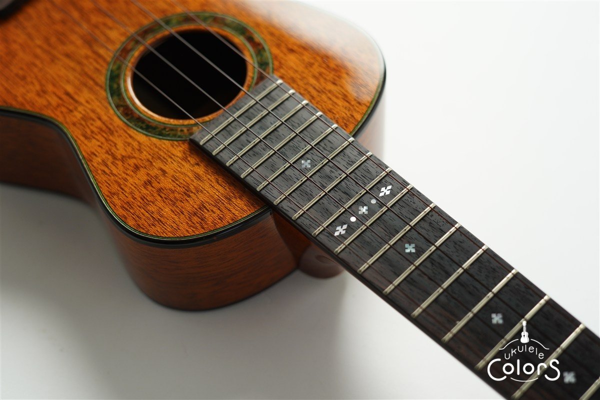 「照り葉」Teriha Concert - Honduras Mahogany