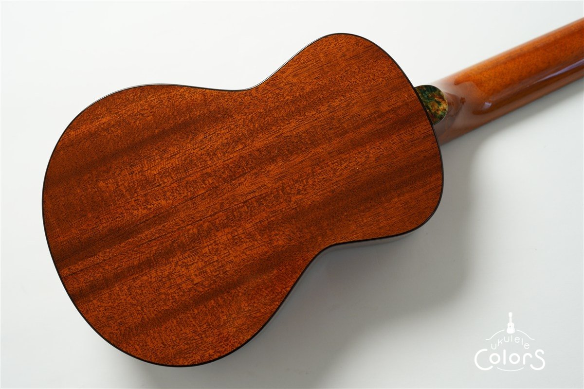 「照り葉」Teriha Concert - Honduras Mahogany